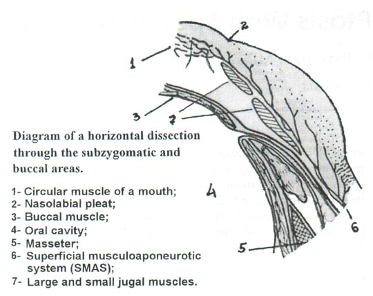 Dermatologic Surgery. May 2002. Number 5. Volume 28