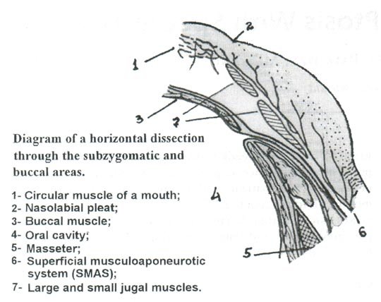 Dermatologic Surgery. May 2002. Number 5. Volume 28