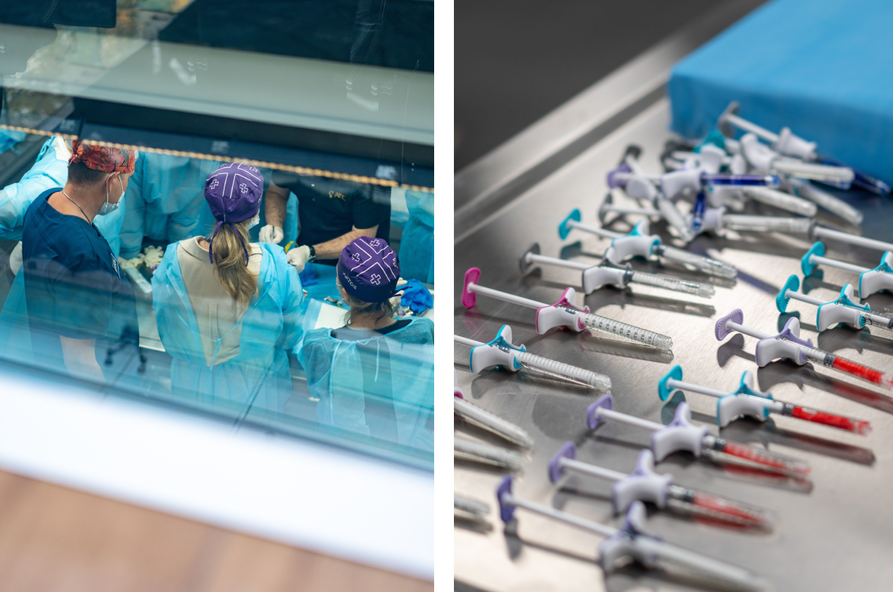 кадавер- курс (8) (1) (8).png