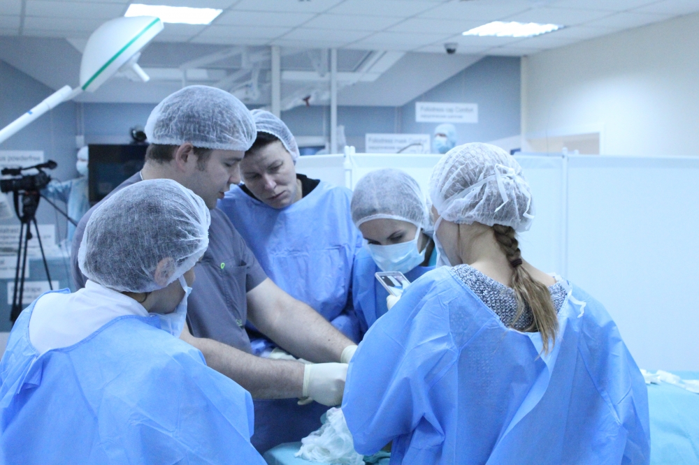 Cadaver class Aptos – анатомия в деталях. 