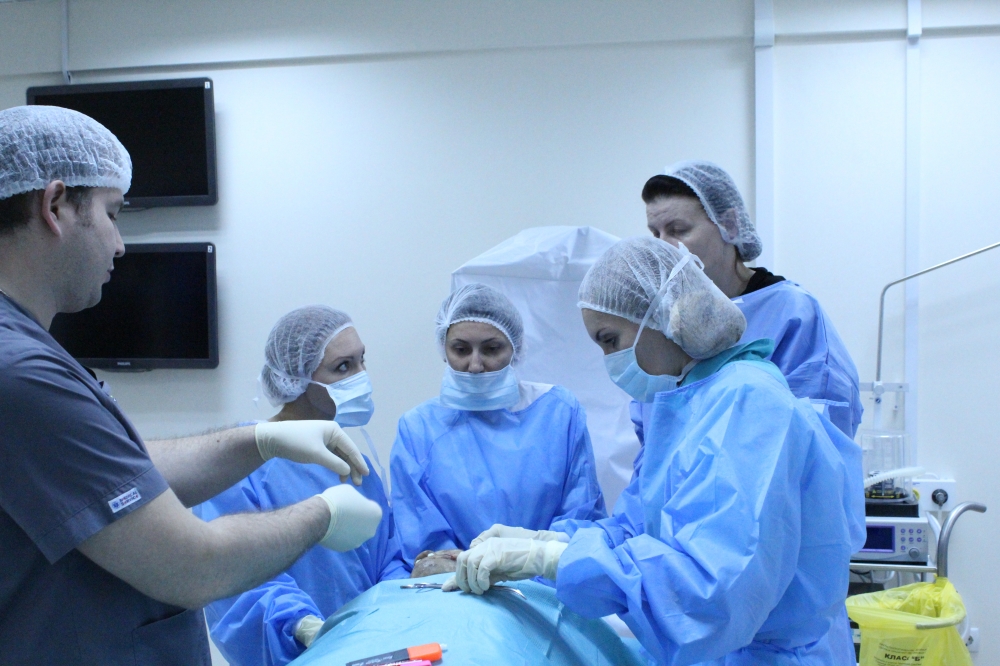 Cadaver class Aptos – анатомия в деталях. 